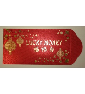 Pack of 10 Deluxe LUCKY MONEY Red Envelopes CHINESE NEW YEAR Gift Packet 7"x3.5"