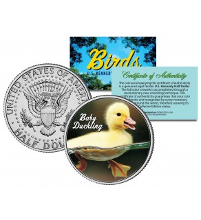 BABY DUCKLING Collectible Birds JFK Kennedy Half Dollar US Colorized Coin DUCK