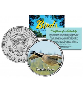 CANADA GOOSE Collectible Birds JFK Kennedy Half Dollar Colorized U.S. Coin