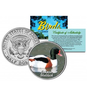 COMMON SHELDUCK Collectible Birds JFK Kennedy Half Dollar Colorized US Coin