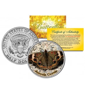 JUNONIA COENIA BUTTERFLY JFK Kennedy Half Dollar U.S. Colorized Coin
