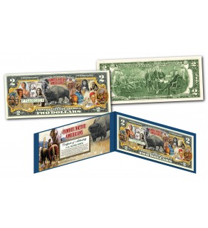 FAMOUS NATIVE AMERICANS Buffalo Bison Official Genuine Legal Tender U.S. $2 Bill