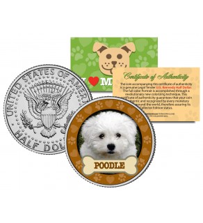 POODLE Dog JFK Kennedy Half Dollar U.S. Colorized Coin