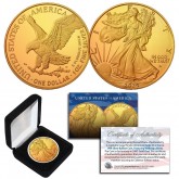 2024 Genuine 24K GOLD Plated 1 OZ .999 Fine Silver BU American Eagle U.S. Coin - TYPE 2 with Display Box