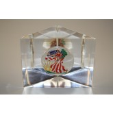 2001 American Silver Eagle 1 oz COLORIZED Coin Lucite Paperweight Triangular