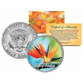 BIRD OF PARADISE FLOWER JFK Kennedy Half Dollar U.S. Colorized Coin