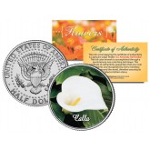 CALLA LILY FLOWER JFK Kennedy Half Dollar U.S. Colorized Coin
