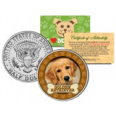 GOLDEN RETRIEVER Dog JFK Kennedy Half Dollar U.S. Colorized Coin