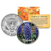 HYACINTH FLOWER JFK Kennedy Half Dollar U.S. Colorized Coin
