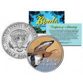 BLACK-BELLIED WHISTLING DUCK Collectible Birds JFK Kennedy Half Dollar Colorized Coin