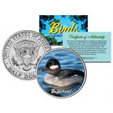 BUFFLEHEAD Collectible Birds JFK Kennedy Half Dollar Colorized US Coin DUCK
