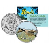 CANADA GOOSE Collectible Birds JFK Kennedy Half Dollar Colorized U.S. Coin