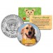 GOLDEN RETRIEVER - Dog - JFK Kennedy Half Dollar U.S. Colorized Coin - Limited Edition
