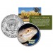 BEARDED DRAGON - Collectible Reptiles - JFK Kennedy Half Dollar U.S. Coin POGONA LIZARD