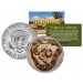 BOA CONSTRICTOR - Collectible Reptiles - JFK Kennedy Half Dollar US Colorized Coin SNAKE