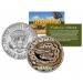 BALL PYTHON - Collectible Reptiles - JFK Kennedy Half Dollar US Coin ROYAL SNAKE REGIUS