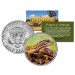 LEOPARD GECKO - Collectible Reptiles - JFK Kennedy Half Dollar US Colorized Coin LIZARD