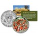 MILK SNAKE - Collectible Reptiles - JFK Kennedy Half Dollar Colorized U.S. Coin KING