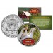 DUCK Collectible Farm Animals JFK Kennedy Half Dollar U.S. Colorized Coin