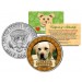 LABRADOR RETRIEVER Dog JFK Kennedy Half Dollar U.S. Colorized Coin